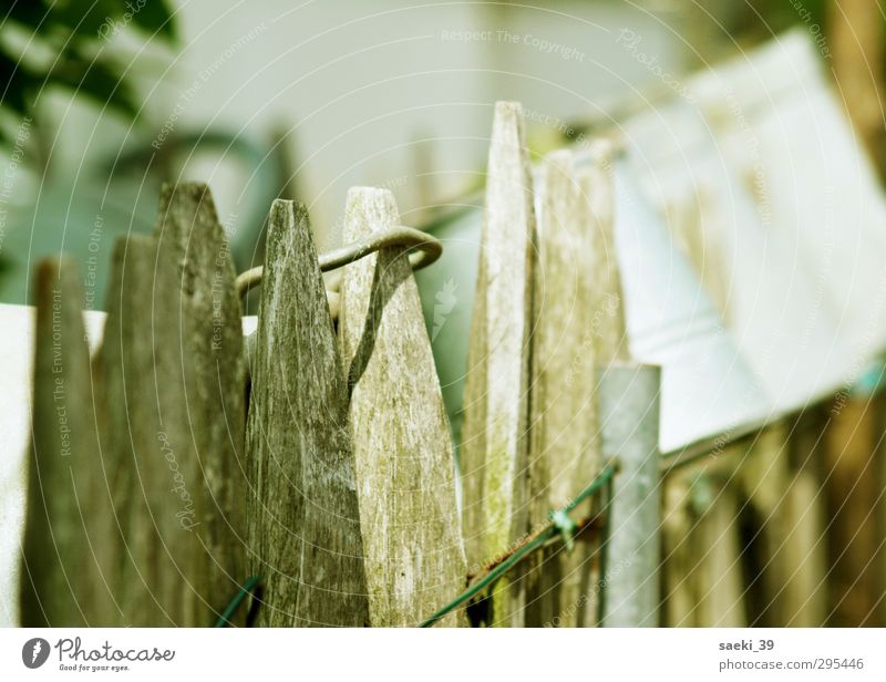 country side Nature Garden Fence Esthetic Authentic Good Natural Moody Contentment Colour photo Subdued colour Exterior shot Close-up Deserted Morning Light