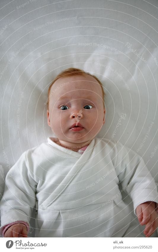amazement Baby Head 1 Human being 0 - 12 months Observe Looking Curiosity White Infancy Colour photo Interior shot Copy Space top Bird's-eye view Forward Squint