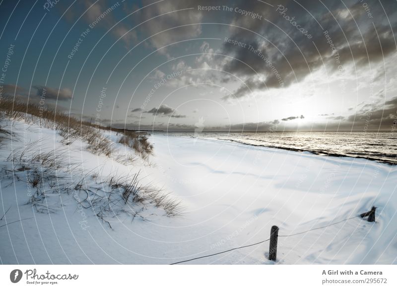 winter beach Environment Landscape Sky Clouds Winter Climate Climate change Weather Snow Coast Baltic Sea Western Beach Exceptional Cold Natural White Calm