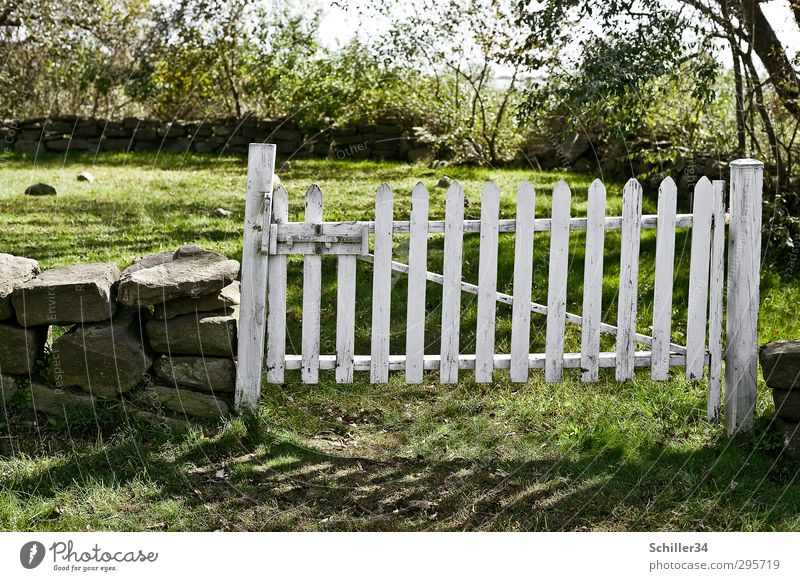 Gate to heaven. Calm Tourism Summer Earth Spring Beautiful weather Tree Grass Garden Meadow Ruin Grave Cemetery Wall (barrier) Wall (building) Landmark Monument
