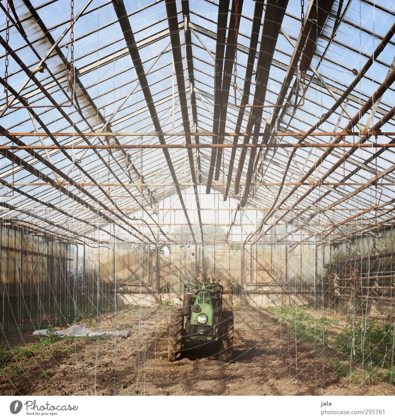 greenhouse Workplace Market garden Agriculture Forestry Sky Plant Foliage plant Agricultural crop Manmade structures Building Greenhouse Tractor Natural