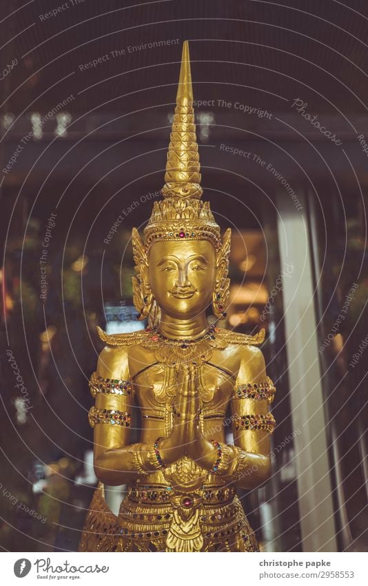Golden Buddha Statue Sculpture Thailand Metal Exotic Glittering Historic Attentive Caution Serene Religion and faith Buddhism Statue of Buddha Prayer Asia