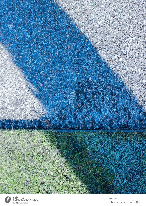 Stripe Garden Ice Frost Grass Gray Green Pavement Gravel Tree trunk Diagonal Abstract Fresh Point Edge Bordered Colour photo Pattern Deserted Copy Space top