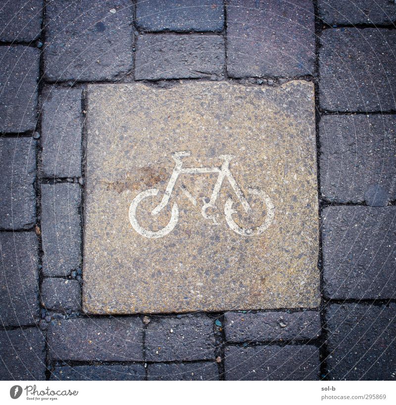 Bike Cycling tour Transport Means of transport Street Road sign Bicycle Stone Concrete Brick Sign Signs and labeling Athletic Town Blue Brown Adventure Pavement