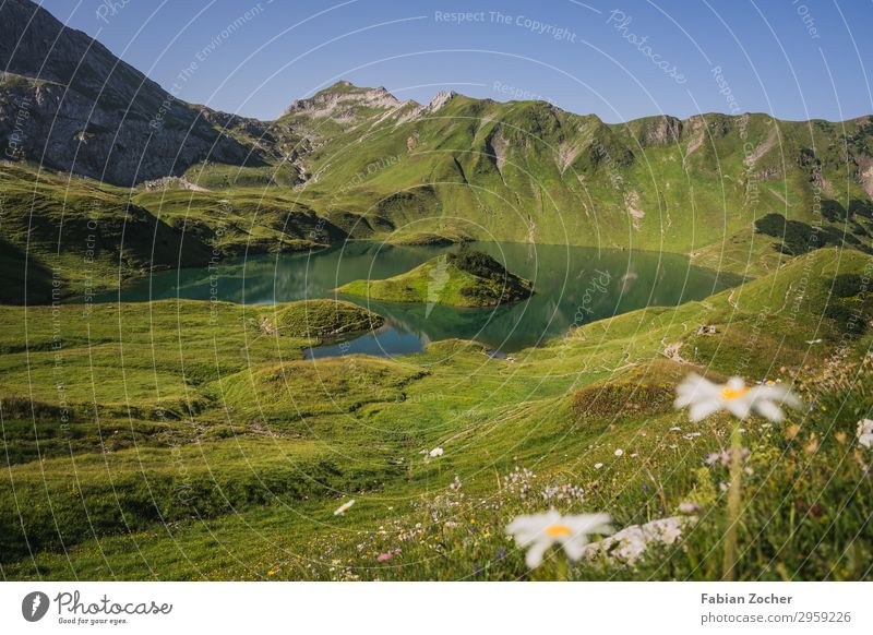 View of the Schrecksee Hiking Mountain Climbing Mountaineering Nature Earth Water Sky Cloudless sky Summer Alps Lake lake of horror Joie de vivre (Vitality)