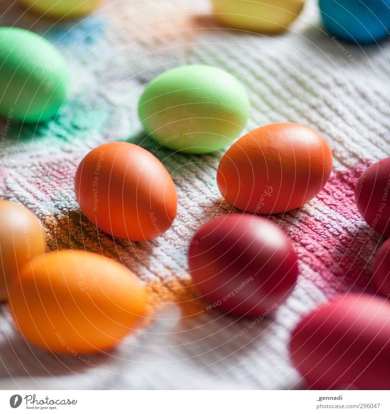 My, it's beautiful. Egg Dye Creativity Multicoloured Painting (action, work) Dyeing Easter Easter egg Towel Many Hen's egg Preparation Colour photo Detail