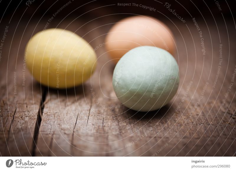 Egg search complete! Food Easter egg Wood Wooden board Near Round Blue Brown Multicoloured Yellow Pink Moody Oval Interior shot Close-up Deserted Day