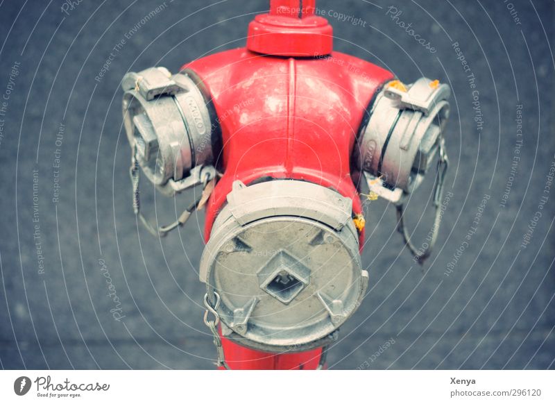 Looking for a connection Metal Cold Gloomy Town Gray Red Fire hydrant Face Fire department Chain Safety Exterior shot Close-up Deserted Neutral Background