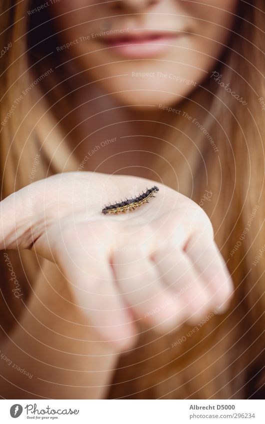 First Approach Feminine Young woman Youth (Young adults) Hand 1 Human being 13 - 18 years Child Nature Animal Beautiful weather Brunette Long-haired Caterpillar