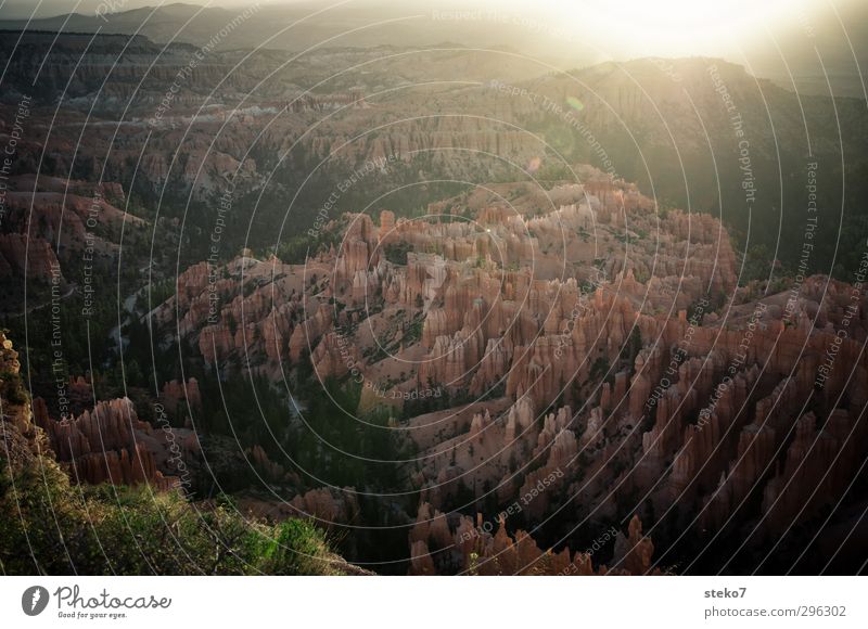 liquid light Nature Sun Sunrise Sunset Sunlight Forest Mountain Canyon Brown Orange Relaxation Expectation Calm Bryce Canyon National Park Morning Colour photo