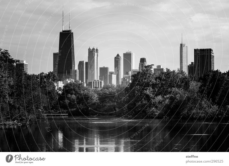 local recreation Tree Park Pond Chicago USA Town Skyline High-rise Calm Haste Oasis Black & white photo