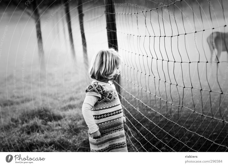 on the other side of the fence ii Feminine Child Girl Infancy 1 Human being 1 - 3 years Toddler 3 - 8 years Environment Animal Spring Autumn Fog Field Observe