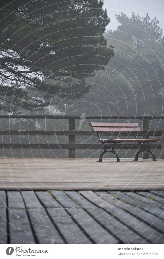 Lonely place Nature Bad weather Breathe Relaxation Sit Wait Cold Gloomy Brown Gray Green Calm Loneliness Time Haze Wood Bench terrace Subdued colour