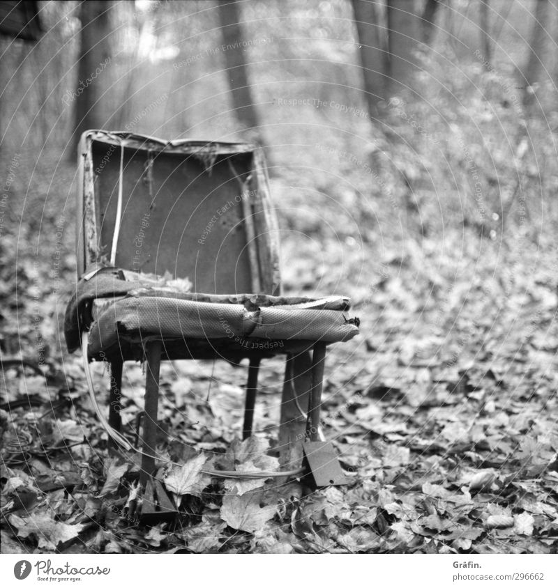 forest seat Environment Landscape Autumn Leaf Forest Chair Metal Old To dry up Broken Trashy Gray Black White Destruction Black & white photo Deserted
