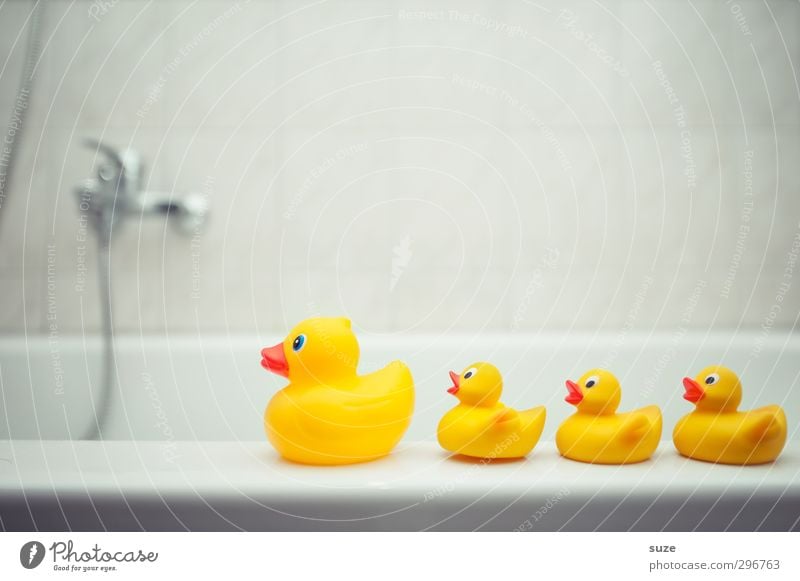 decampment Design Joy Swimming & Bathing Leisure and hobbies Playing Bathtub Bathroom Infancy Toys Squeak duck Friendliness Happiness Kitsch Small Funny Cute