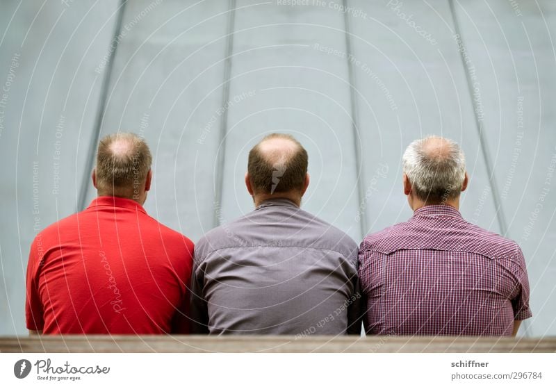 Top-heavy triumvirate. Human being Masculine Man Adults 3 Group 30 - 45 years Sit Gray Violet Red Back Bald or shaved head Hair and hairstyles Rear view