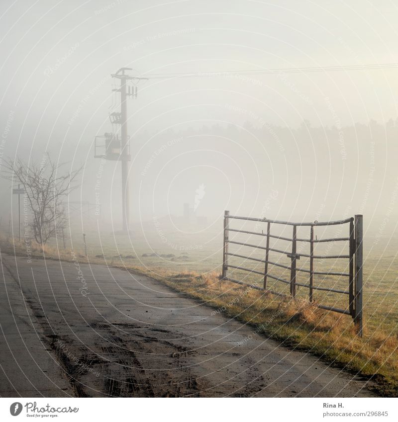 Early Fog II Nature Landscape Spring Meadow Lanes & trails Natural Electricity pylon Fold Gate Colour photo Exterior shot Copy Space left Copy Space right