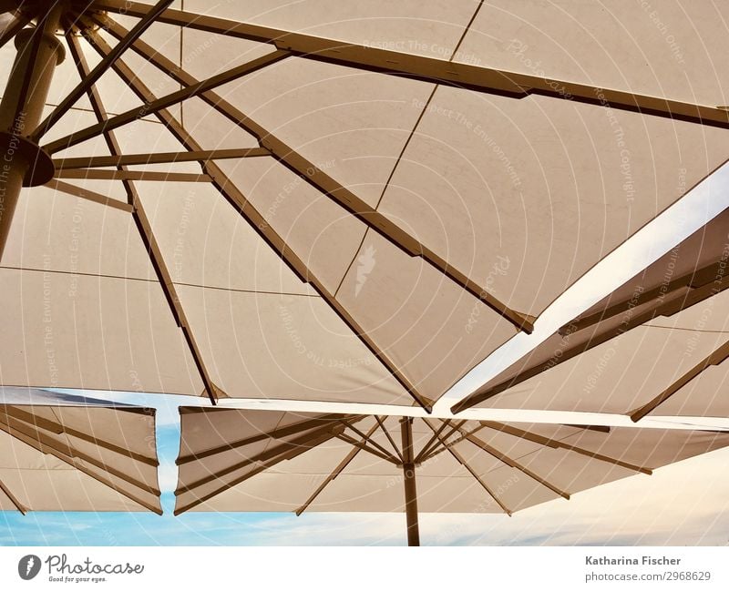patronage Summer Summer vacation Sky Spring Blue Brown White Vacation & Travel Sunshade Weather protection Sunlight Travel photography Art Colour photo