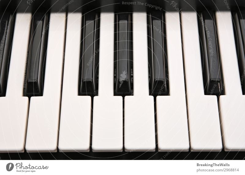 Musical keyboard background pattern Leisure and hobbies Art Keyboard Black White Piano Synthesizer Play piano Musical instrument Arrangement Classical