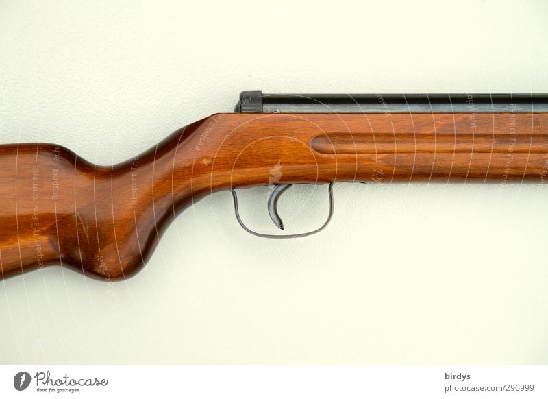 Cut of a rifle, part of butt, trigger and barrel. Neutral background Shooting sports Airgun Rifle Firearm Trigger Esthetic Threat Rebellious Brown White