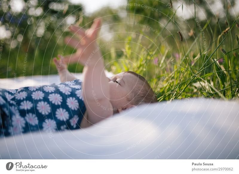 Baby raising arms arms up Arm lying Spring young Caucasian Portrait photograph people Joy Beautiful Cute spring Child Playing Green Park Exterior shot Happy