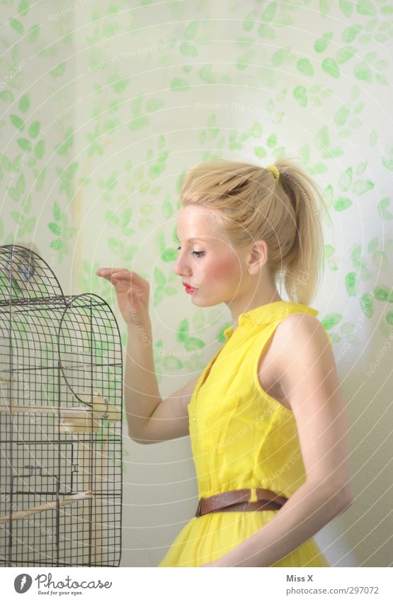 Golden cage Human being Feminine Young woman Youth (Young adults) 1 18 - 30 years Adults Dress Blonde Pet Bird Beautiful Moody Protection Love of animals Dream