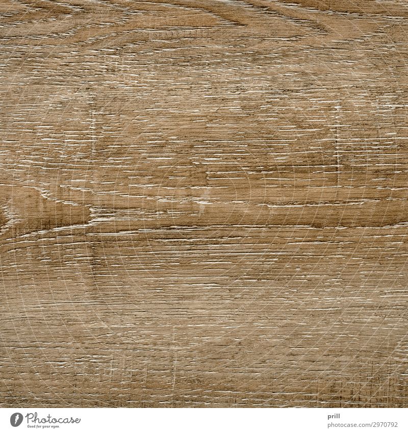 wooden surface Grain Flat (apartment) Decoration Furniture Nature Forest Wood Line Old Brown Arrangement Quality Wood grain Texture of wood wood surface board