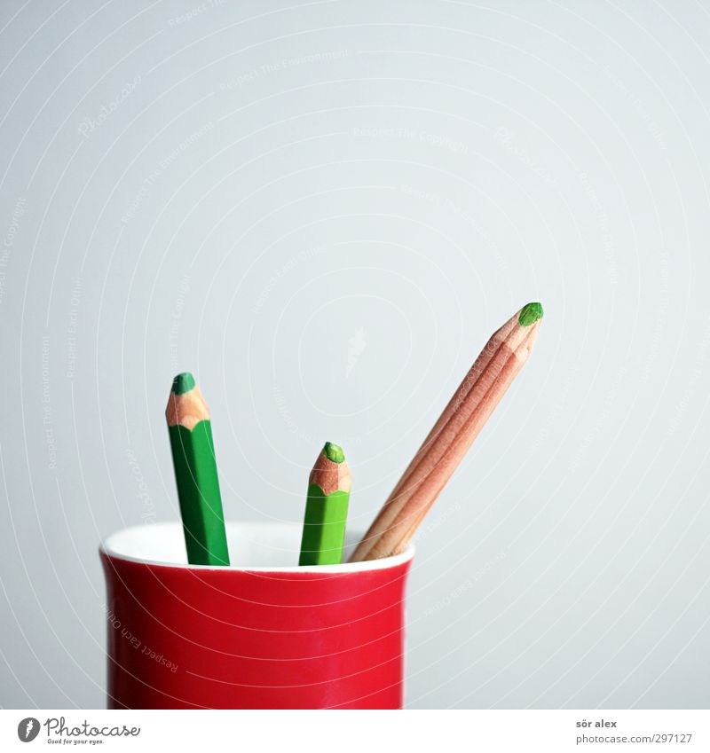 green sticks Study Academic studies Work and employment Profession Office work Economy Services Media industry Stationery Pen Crayon Green Red Creativity Cup