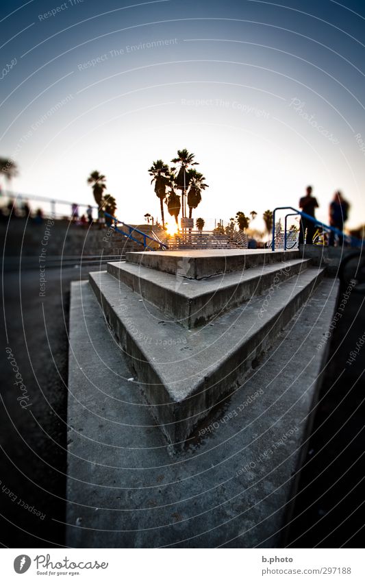corner 2 Human being 18 - 30 years Youth (Young adults) Adults Cloudless sky Sun Sunrise Sunset Sunlight Summer Tree Palm tree Park Los Angeles Stairs Blue Gray