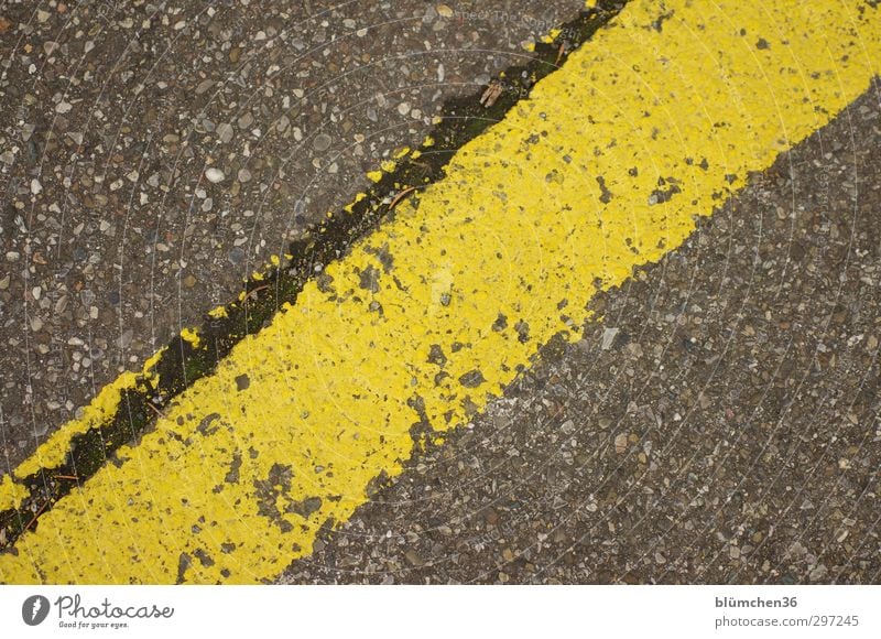 You're a dodger. You're a dodger. Street Simple Yellow Gray Signs and labeling Line Across Asphalt Parking lot Arrangement Pavement Colour photo Exterior shot