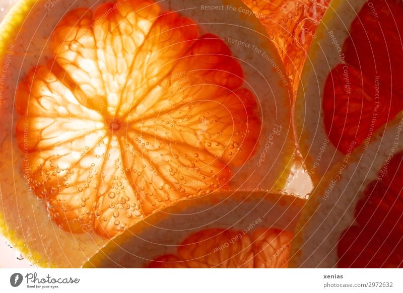 Macro shot of a grapefruit in orange Fruit Orange Grapefruit Organic produce Vegetarian diet Fresh Healthy Delicious Near Sour cute Vitamin Illuminate