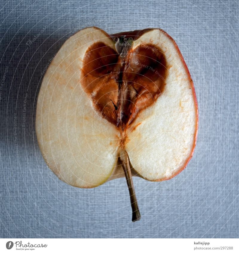 heartache Food Apple Sign Heart Love Housing Putrefy Betray Heart-shaped Inedible Vitamin Healthy Old Heart attack Lovesickness Illness Gray (horse) Parasite