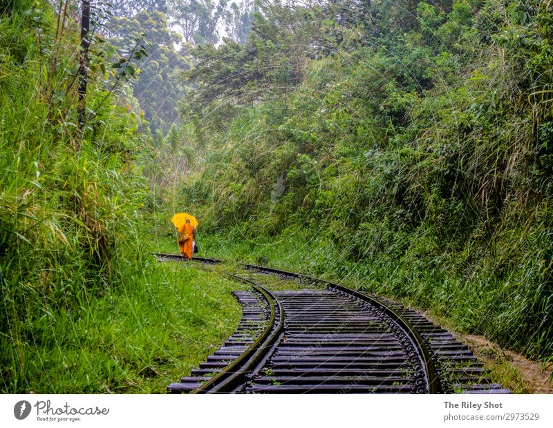 A Monk walks around a railway line in Ella, Sri Lanka Lifestyle Exotic Vacation & Travel Tourism Trip Adventure Freedom Hiking jungle Human being Man Adults