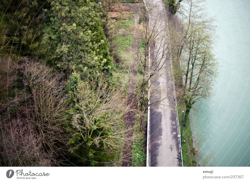 BirdPerspective Environment Nature Park Forest River bank Natural Green Footpath Colour photo Exterior shot Deserted Day Bird's-eye view