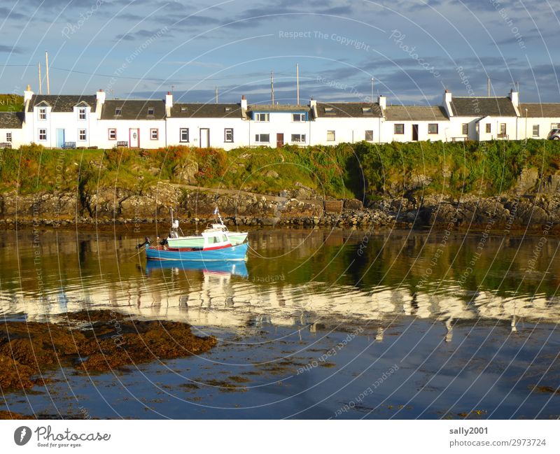 Scottish terraced houses.... Summer Coast Ocean Scotland House (Residential Structure) Detached house Fishing boat Harbour Maritime Loneliness Serene Bay