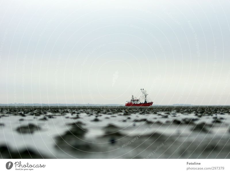 Rømø | Kutter Environment Nature Landscape Elements Earth Water Sky Coast North Sea Ocean Cold Wet Gray Red Watercraft Fishing boat Mud flats Roman Colour photo