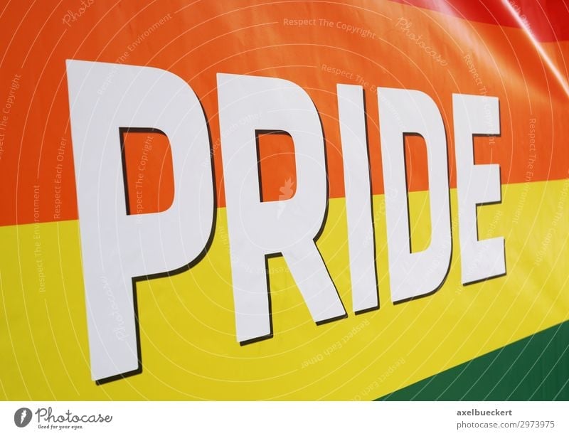 Rainbow flag at LGBT Pride Event Lifestyle Party Feasts & Celebrations Homosexual Sign Flag Multicoloured Symbols and metaphors Transgender