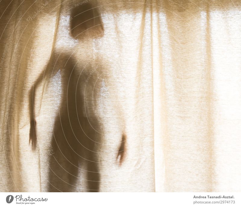 behind the curtain Feminine Woman Adults Body 1 Human being 30 - 45 years Window Mysterious Drape Colour photo Interior shot Silhouette Central perspective