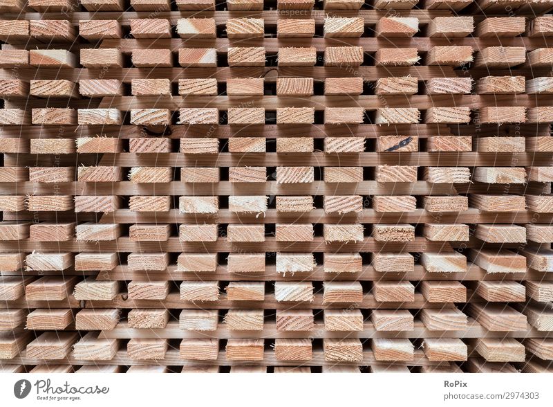For drying stacked roof battens. wood Wood grain Annual ring Moss Abstract decay Weathered Lumber industry Agriculture Firewood Tree stump Nature wallpapers