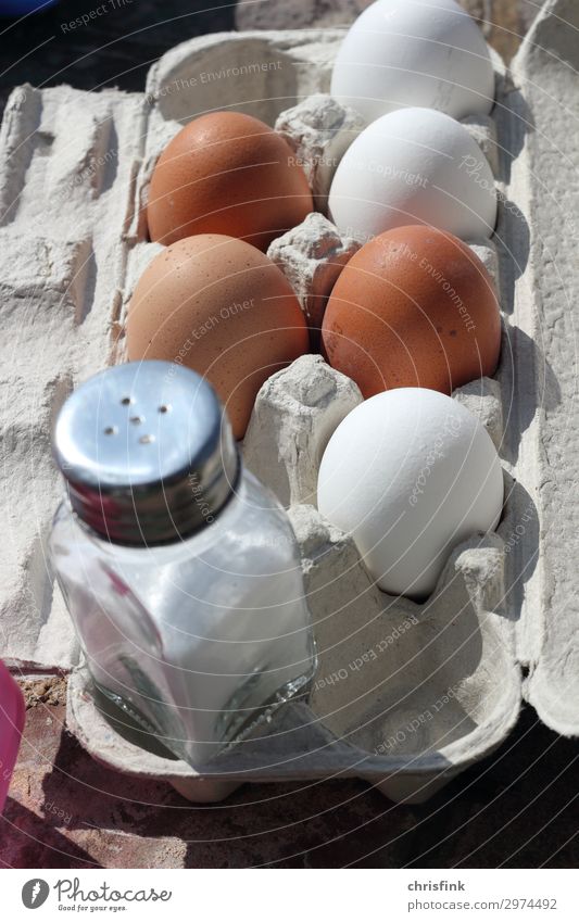 Eggs in pack with salt shaker Food Breakfast Healthy Fitness Diet Eating Delicious hunger Salt Picnic Colour photo Exterior shot Day