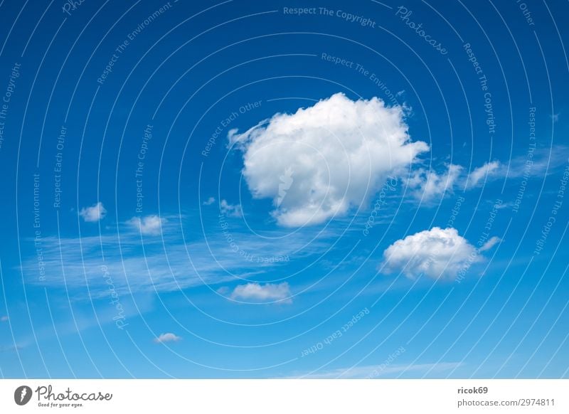 White clouds in the blue sky Environment Clouds Spring Climate Weather Blue Colour Idyll Sustainability Nature Calm Sky Cirrus cirrostratus cloud Atmosphere
