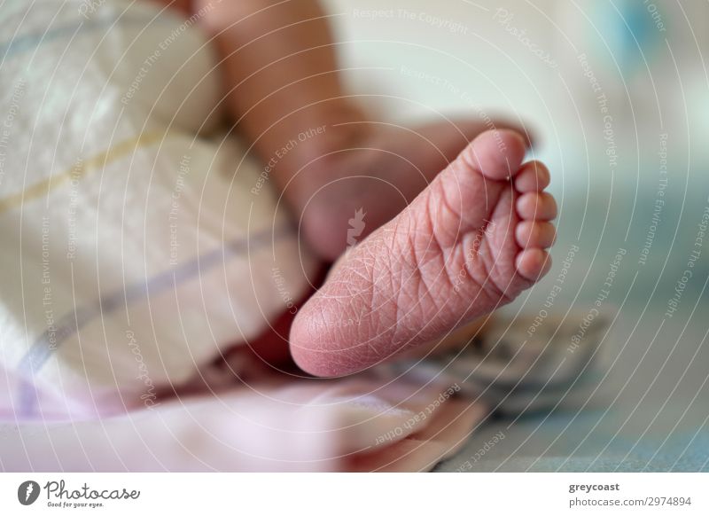 A close up of a tiny baby foot with dry crackled skin Child Human being Baby Infancy Skin Feet 1 0 - 12 months Sleep Beautiful toe Newborn heel baby heel