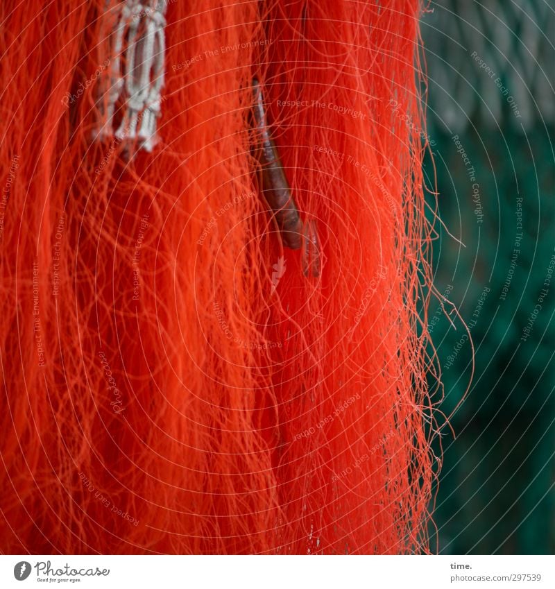 Rømø | RedGreenMurks with by-catch Work and employment Fisherman Fishery Fishing net Mussel Plastic Knot Net Network Hang Hip & trendy Design Serene Accuracy