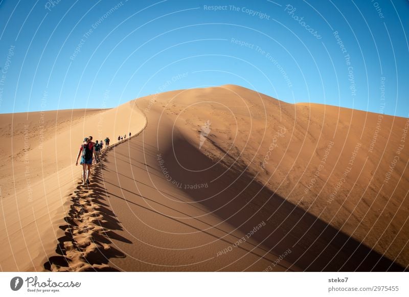 dune hike Group Sand Warmth Drought Desert Namib desert Hiking Together Hot Bright Blue Yellow Thirst Adventure Tourism Vacation & Travel Lanes & trails