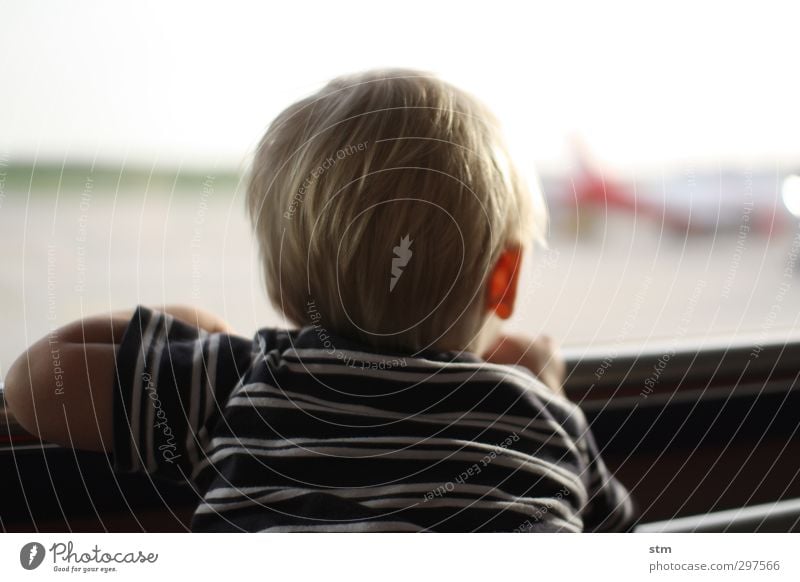 blonde toddler looks into the distance Vacation & Travel Tourism Far-off places Child Toddler Boy (child) Infancy Life Head Hair and hairstyles 1 Human being