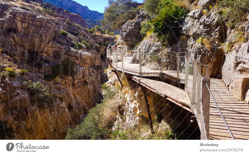 Caminito del Rey Human being Group Environment Nature Landscape Plant Sky Cloudless sky Sun Summer Beautiful weather Warmth Drought Tree Grass Bushes Park