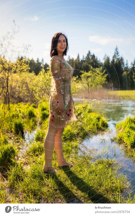 Woman in summer dress, nature, water Adults 1 Human being Environment Nature Plant Water Summer Beautiful weather Park Meadow Brook Relaxation To enjoy Stand