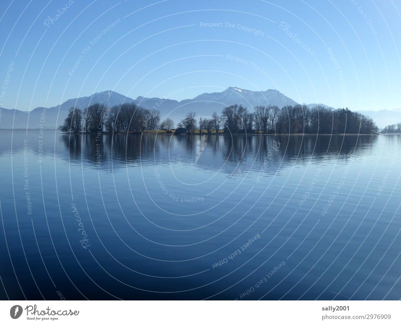 silent... Nature Cloudless sky Winter Beautiful weather Tree Mountain Alps camping wall Lakeside Island Lake Chiemsee Famousness Cold Natural Serene Calm