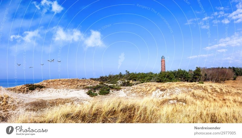 Lighthouse Darßer Ort at the Baltic Sea Panorama (View) Contrast Copy Space top Deserted Exterior shot Marram grass Fischland Prerow Colour photo dune Darss