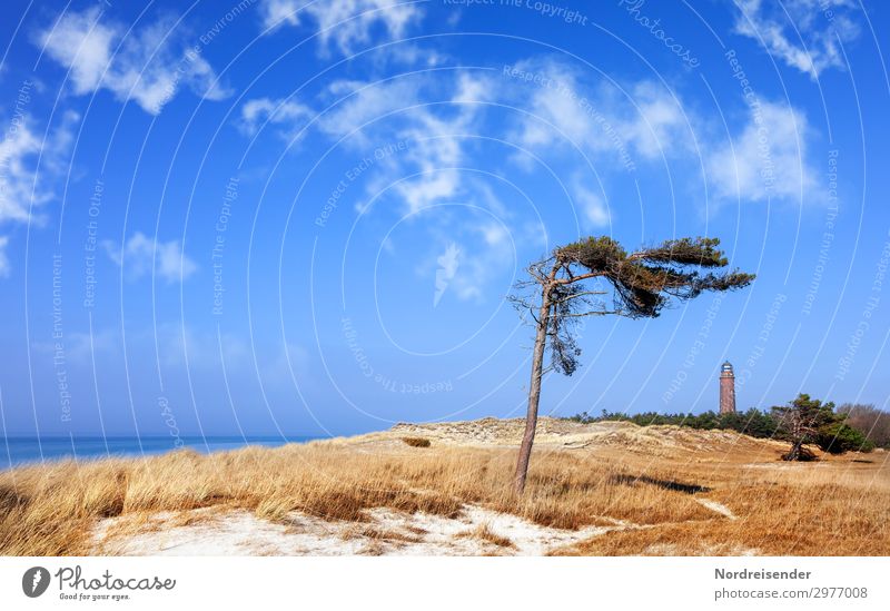 Wind flier and lighthouse on the Darß Vacation & Travel Tourism Summer Summer vacation Beach Ocean Island Nature Landscape Sand Water Sky Clouds Spring Autumn